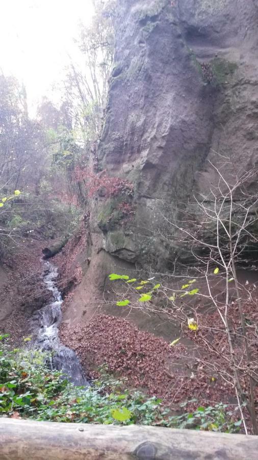 Ferienwohnung-Malanders Andernach Dış mekan fotoğraf